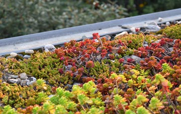 the cost of Bradford Abbas green roof installation