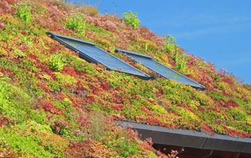 Bradford Abbas living roof systems