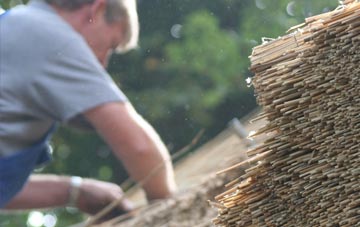 professional Bradford Abbas thatchers