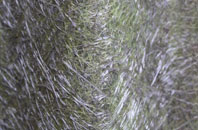 Bradford Abbas fibreglass roof work